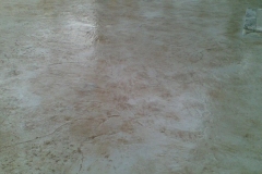 WhatsApp-Image-2022-06-10-at-5.21.26-PM-3.jpeg_0019_WhatsApp-Image-2022-06-10-at-6.46.57-PM-1