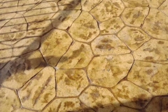 WhatsApp-Image-2022-06-10-at-5.21.26-PM-3.jpeg_0040_WhatsApp-Image-2022-06-10-at-6.40.01-PM-3