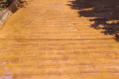 WhatsApp-Image-2022-06-10-at-5.21.26-PM-3.jpeg_0044_WhatsApp-Image-2022-06-10-at-6.40.00-PM-4