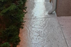 WhatsApp-Image-2022-06-10-at-5.21.26-PM-3.jpeg_0047_WhatsApp-Image-2022-06-10-at-6.40.00-PM-1