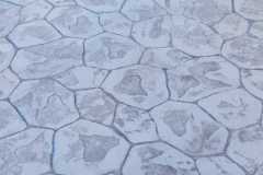 WhatsApp-Image-2022-06-10-at-5.21.28-PM-2