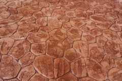 WhatsApp-Image-2022-06-10-at-5.46.43-PM-5