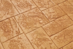 WhatsApp-Image-2022-06-10-at-5_0003_WhatsApp-Image-2022-06-10-at-5.21.28-PM-5