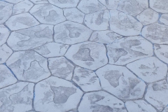 WhatsApp-Image-2022-06-10-at-5_0005_WhatsApp-Image-2022-06-10-at-5.21.28-PM-2