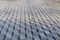 WhatsApp-Image-2022-06-10-at-5_0017_WhatsApp-Image-2022-06-10-at-5.21.26-PM-5