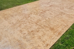 WhatsApp-Image-2022-06-10-at-5_0022_WhatsApp-Image-2022-06-10-at-5.21.25-PM