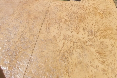 WhatsApp-Image-2022-06-10-at-5_0025_WhatsApp-Image-2022-06-10-at-5.21.24-PM